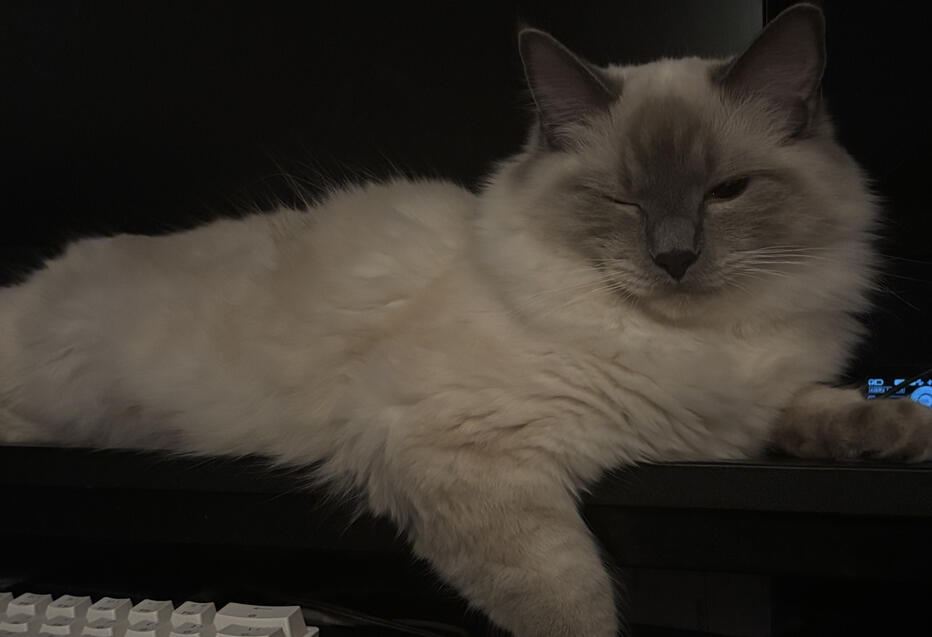 oh my what do we have here