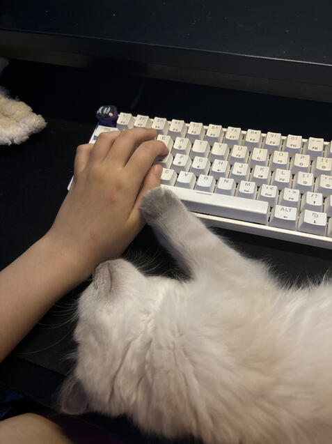 first day with archie!